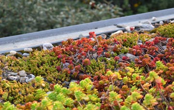 the cost of Shotesham green roof installation
