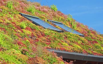 Shotesham living roof systems